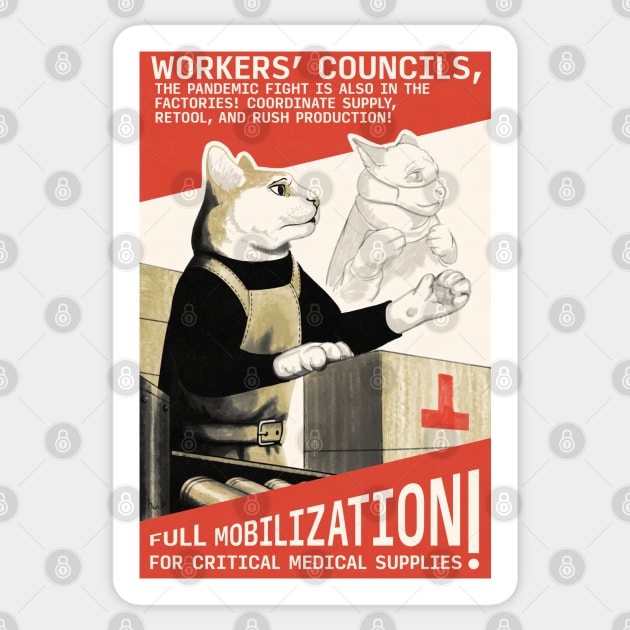 Cat medical supplies 2025